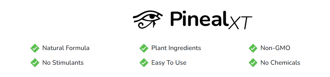 Pineal XT quality assurance